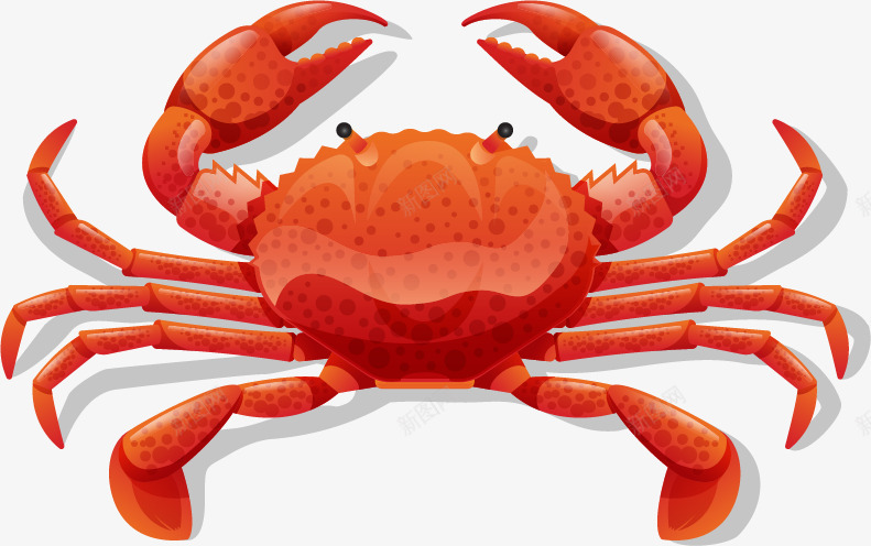扁平化卡通美食png免抠素材_新图网 https://ixintu.com 卡通 卡通美食 卡通食物 卡通饮食 扁平化美食 手绘 美食 螃蟹 蟹 西餐 食物