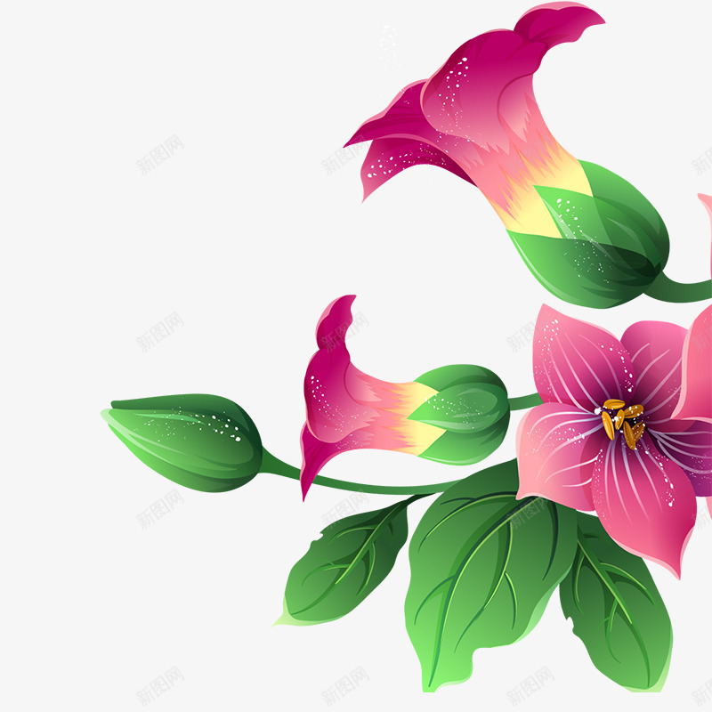 紫色喇叭花png免抠素材_新图网 https://ixintu.com 叶子 喇叭花 紫色 绚丽 花 花朵