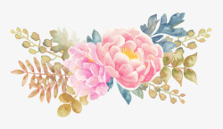 牡丹花手绘水彩花卉元素素材