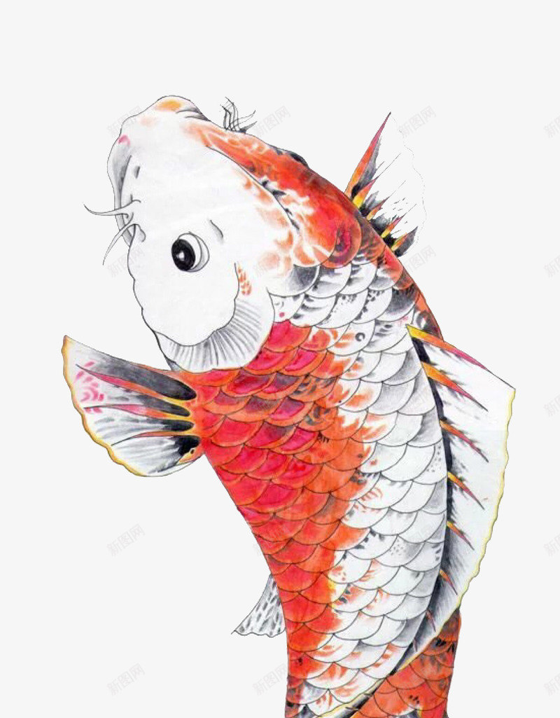 富贵鲤鱼2019psd免抠素材_新图网 https://ixintu.com 2019 农历新年 富贵 手抄报装饰 新年 新年快乐 新年手抄报 猪年 财神 鲤鱼