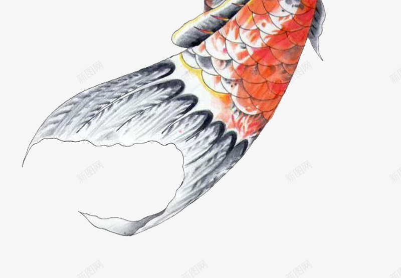 富贵鲤鱼2019psd免抠素材_新图网 https://ixintu.com 2019 农历新年 富贵 手抄报装饰 新年 新年快乐 新年手抄报 猪年 财神 鲤鱼