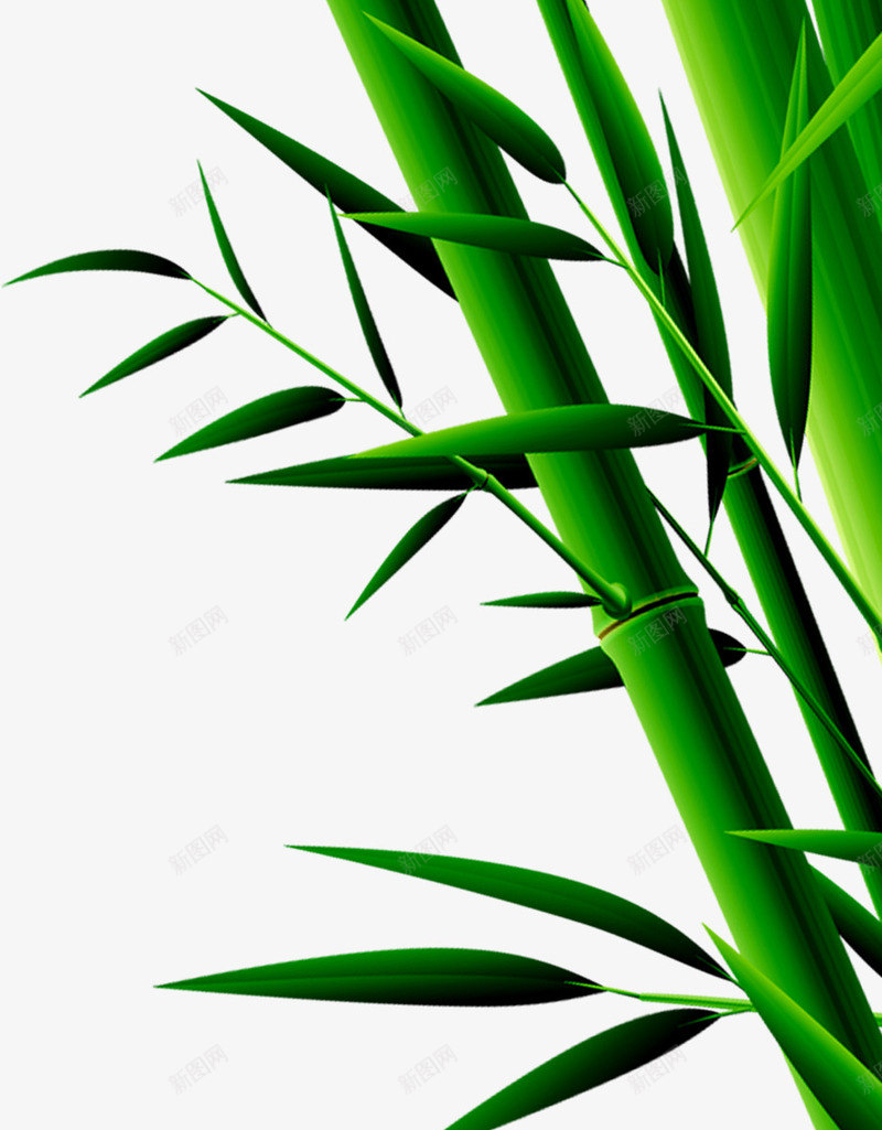 绿色竹叶竹子端午节png免抠素材_新图网 https://ixintu.com 端午节 竹叶 竹子 绿色