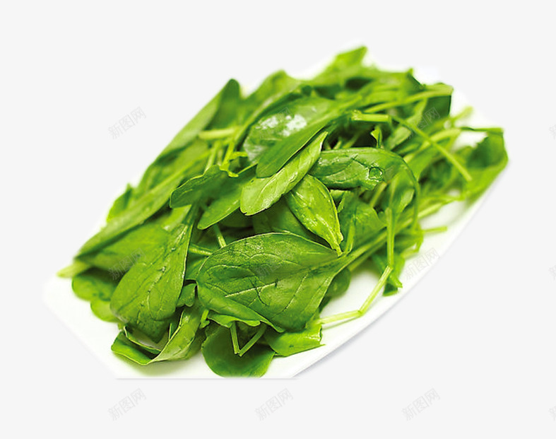 有食欲的鸡毛菜png免抠素材_新图网 https://ixintu.com 产品实物 小白菜 火锅食材 绿色 美食 蔬菜