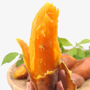 美味红薯png免抠素材_新图网 https://ixintu.com 山芋 新鲜蔬菜 生地瓜 番薯 粗粮 红薯 红薯png素材 红薯免抠素材 香署 黄壤地瓜