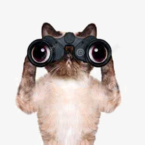 猫咪侦探png免抠素材_新图网 https://ixintu.com 寻找 搜寻 放大镜 猫 线索