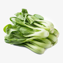 绿色健康食品新鲜油菜高清图片