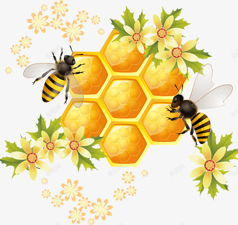 蜜蜂png免抠素材_新图网 https://ixintu.com 动物 卡通 可爱动物 昆虫 蜂类 蜂蜜 蜜蜂