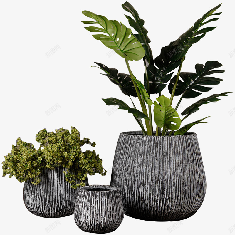 绿色小清新植物盆栽png免抠素材_新图网 https://ixintu.com 叶子 小清新 植物 植物盆栽 盆栽 绿植 花盆