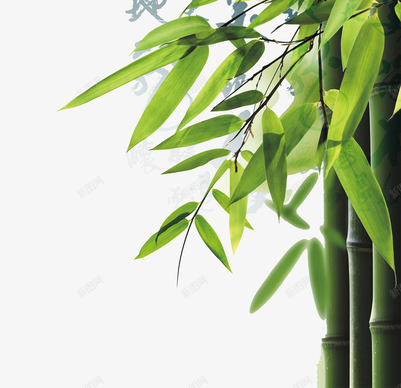 端午节清新竹子竹叶psd免抠素材_新图网 https://ixintu.com 清新 端午节 竹叶 竹子