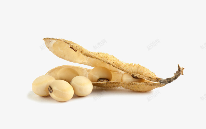实物黄豆png免抠素材_新图网 https://ixintu.com 产品实物 大豆 摄影 豆子 豆浆 豆浆产品 豆浆产品海报 豆腐 黄豆