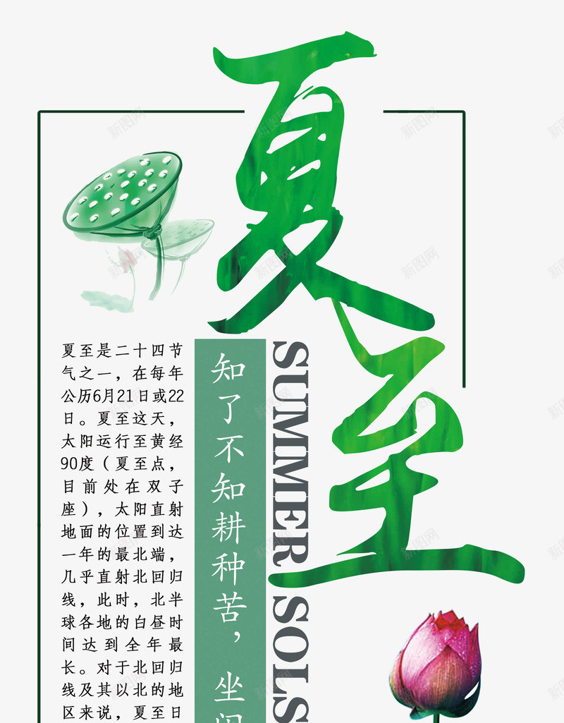 夏至主题文章艺术字png免抠素材_新图网 https://ixintu.com 夏至 夏至主题艺术字 夏至相关文章 手绘荷花 手绘莲蓬装饰