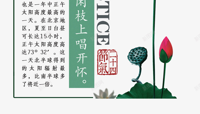 夏至主题文章艺术字png免抠素材_新图网 https://ixintu.com 夏至 夏至主题艺术字 夏至相关文章 手绘荷花 手绘莲蓬装饰