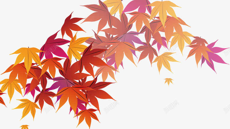 枫叶png免抠素材_新图网 https://ixintu.com 枫叶动漫 漂浮的枫叶 秋天 秋色