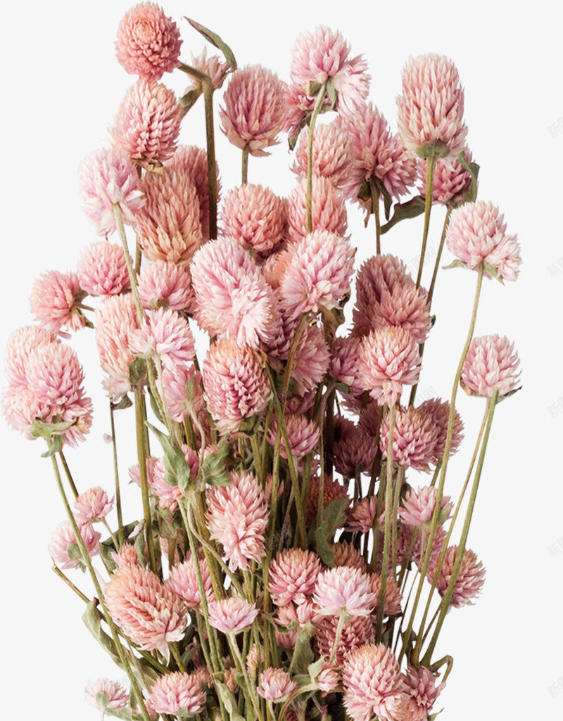 小清新花瓶花束png免抠素材_新图网 https://ixintu.com 室内装饰 干花 插花 温馨 简约 花瓶 装饰