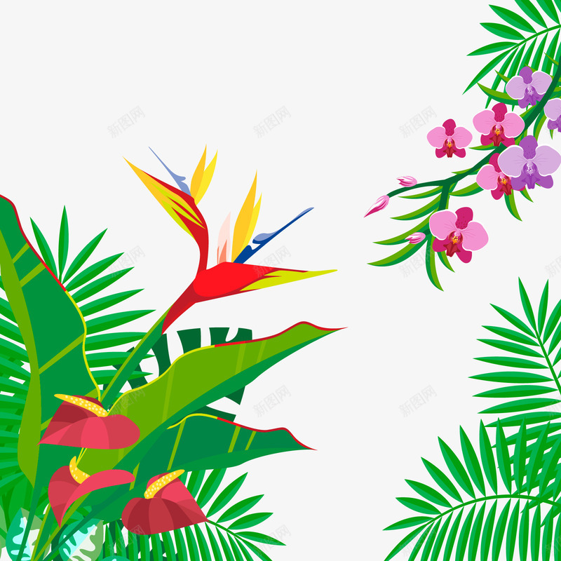 热带花卉盛开png免抠素材_新图网 https://ixintu.com PNG免抠图 PNG免抠图下载 休假 天堂鸟 年休 热带 百合