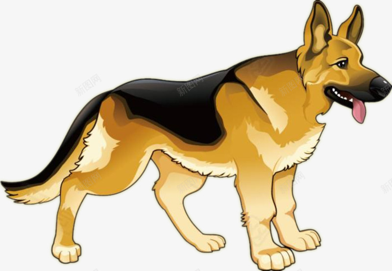 服从命令的军人猎犬png免抠素材_新图网 https://ixintu.com 似狼 军人猎犬 土狗 头狼 犬 狗 狗狗 猎犬