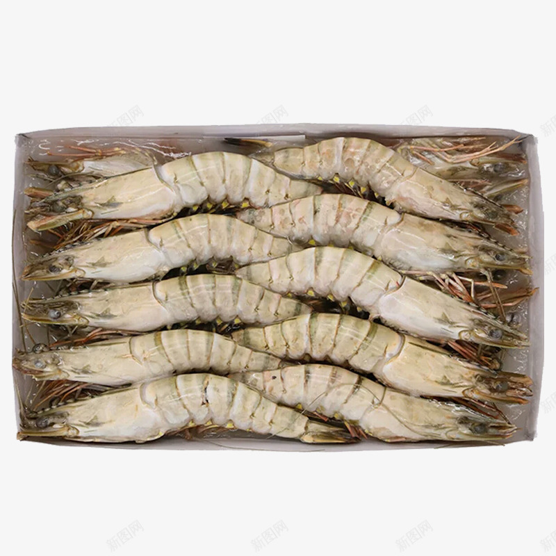 斑节虾png免抠素材_新图网 https://ixintu.com 一盘斑节虾 大虾 新鲜草虾 海鲜 美食