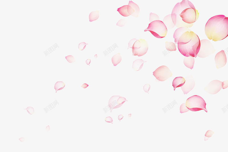 洒落的花瓣png免抠素材_新图网 https://ixintu.com PSD分层素材 免费PNG素材 唯美花瓣 完结撒花 源文件 花瓣