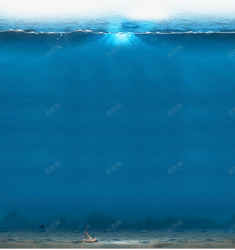沙滩海星海螺贝壳海鲜png免抠素材_新图网 https://ixintu.com 沙滩 海星 海螺 海鲜 贝壳