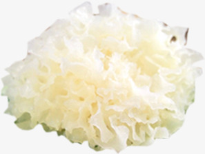 白色银耳食物png免抠素材_新图网 https://ixintu.com 白色 银耳 食物