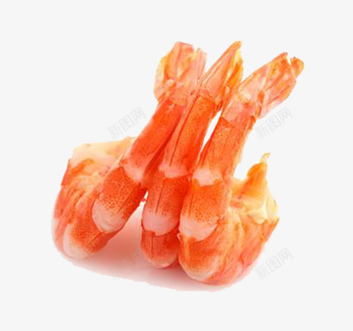 三个白灼虾png免抠素材_新图网 https://ixintu.com 三个白灼虾 五个水煮虾 水煮虾 海鲜 海鲜虾 白灼虾