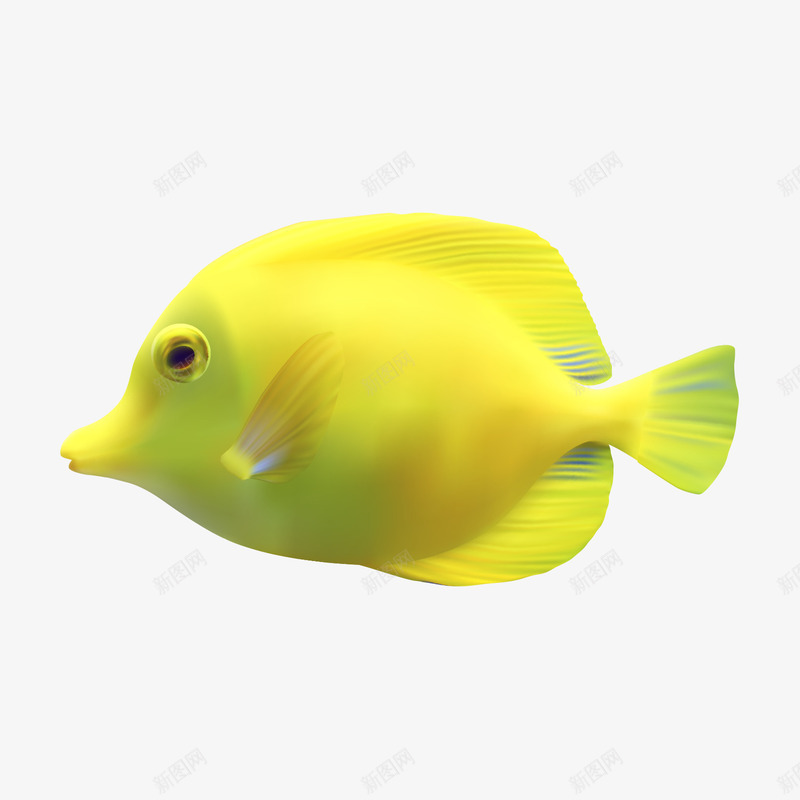 热带鱼png免抠素材_新图网 https://ixintu.com 卡通 海底世界 海洋生物 热带鱼 热带鱼素材图 鱼