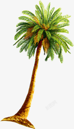植物绿色沙滩椰子树海边素材
