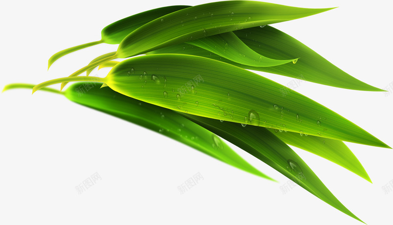 端午节芦苇粽子叶png免抠素材_新图网 https://ixintu.com 端午节 粽子 芦苇