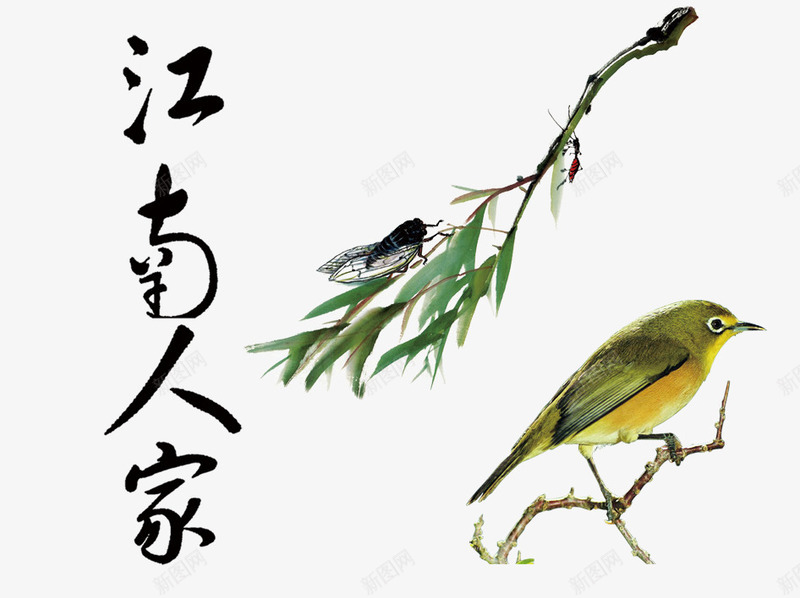 江南景色png免抠素材_新图网 https://ixintu.com 蝉插画 黄雀蝉毛笔字