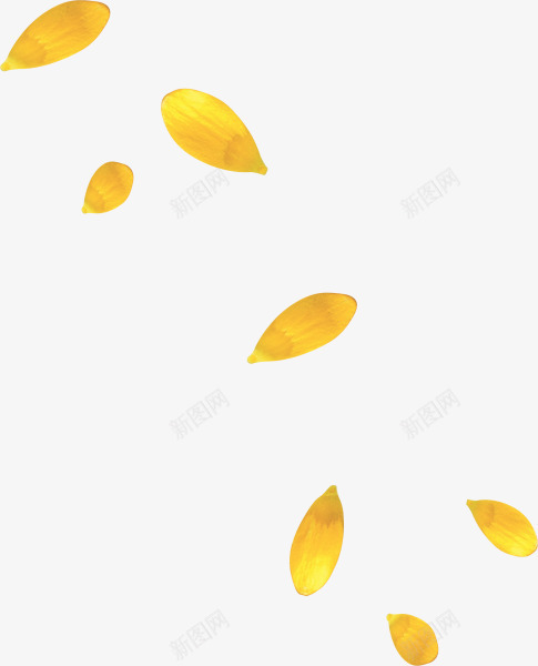 飘零黄色花瓣png免抠素材_新图网 https://ixintu.com 图片 素材 花瓣 飘零 黄色