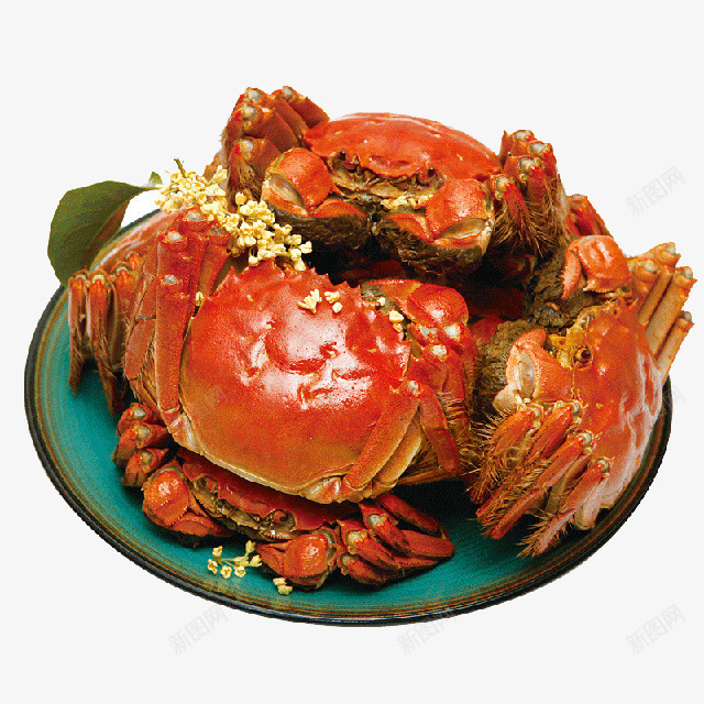 一盘的大闸蟹png免抠素材_新图网 https://ixintu.com 产品实物图 大闸蟹 桂花 美食 螃蟹