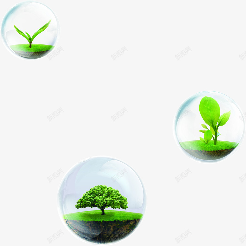绿色禾苗样式温馨提示png免抠素材_新图网 https://ixintu.com 提示 样式 温馨 禾苗 绿色