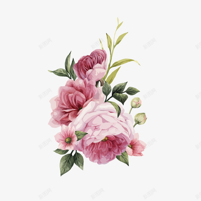 手绘水彩玫瑰花png免抠素材_新图网 https://ixintu.com 唯美 小清新 手绘 水粉 玫瑰花 粉色 花卉 请柬素材