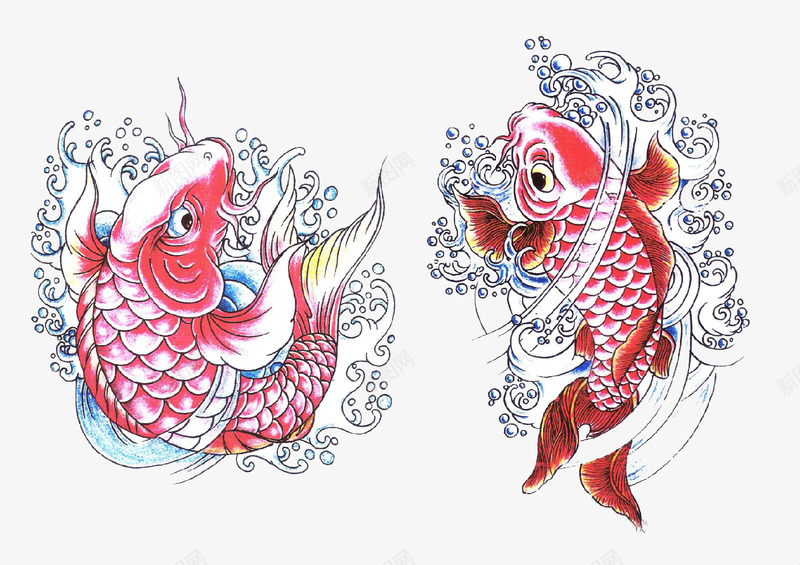 两条锦鲤png免抠素材_新图网 https://ixintu.com 双生 手绘 锦鲤