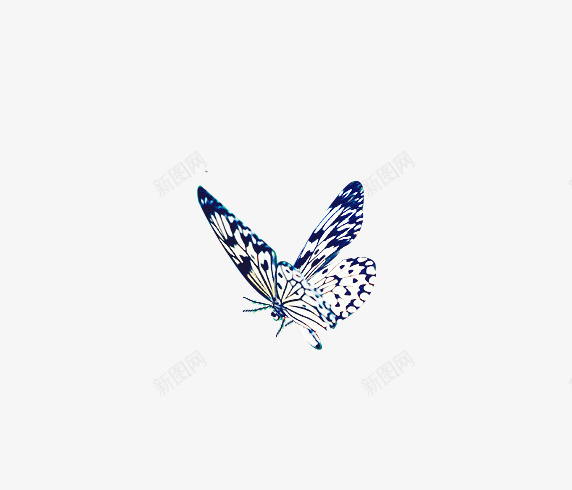 青花瓷花印蝴蝶png免抠素材_新图网 https://ixintu.com 梦幻 美丽 蝴蝶 青花瓷