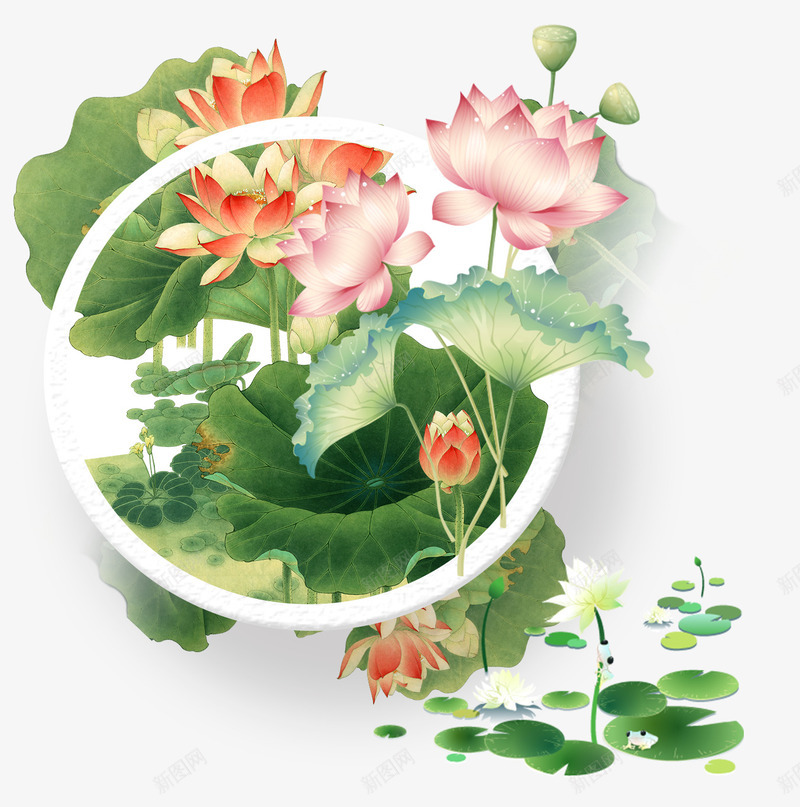 荷塘荷花png免抠素材_新图网 https://ixintu.com 中国风 唯美 夏天 手绘 水墨 荷叶 荷塘月色 荷花 荷花插画
