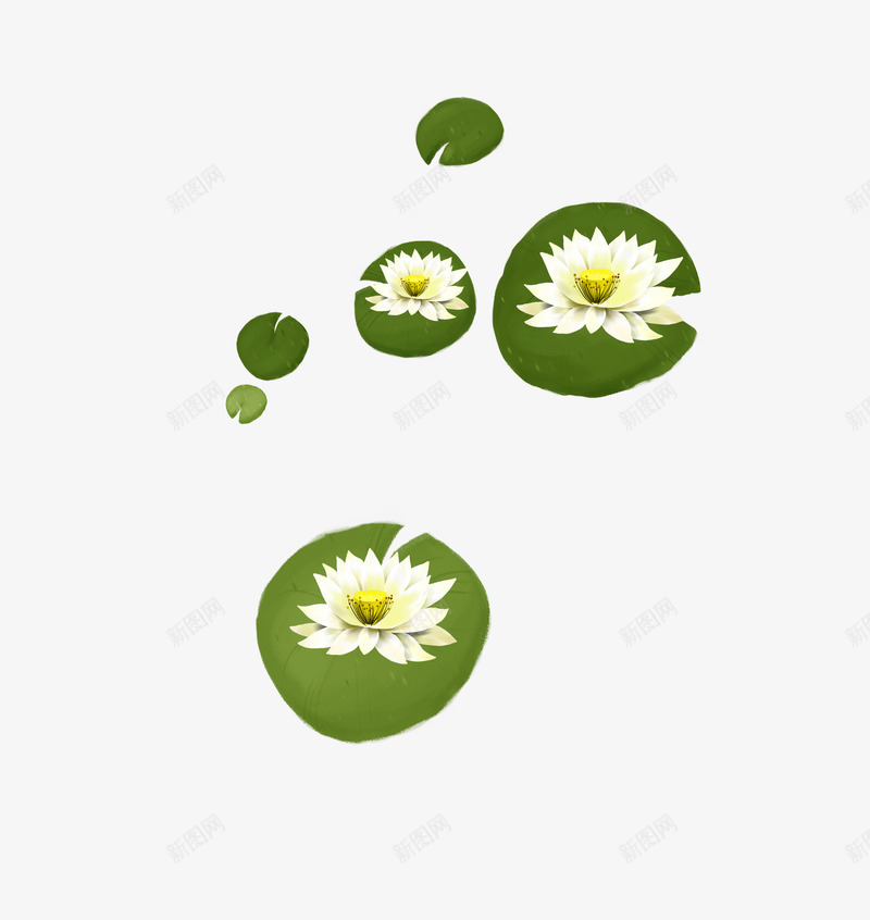 唯美精美荷花浮萍psd免抠素材_新图网 https://ixintu.com 唯美 浮萍 精美 荷花