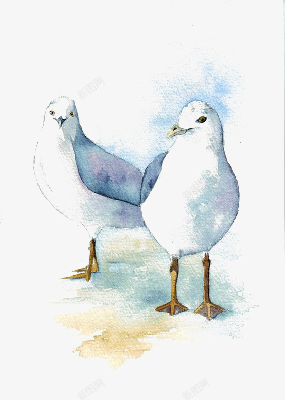 手绘水彩鸽子png免抠素材_新图网 https://ixintu.com 卡通 宠物 手绘 插画 水彩 鸟类 鸽子