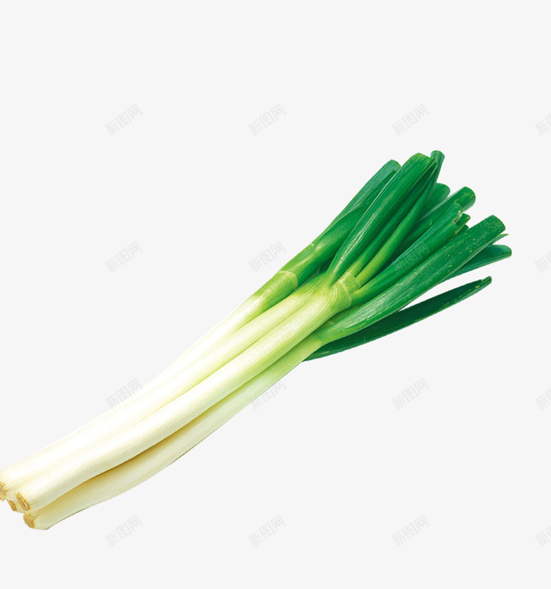 一捆绿色的大葱食材png免抠素材_新图网 https://ixintu.com 一捆 一捆葱 东北大葱 大葱 绿色 葱 蔬菜 配料 食材 食物