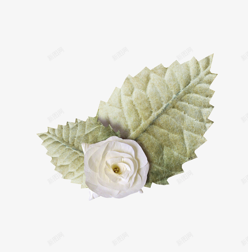 淡雅小花装饰背景元素png免抠素材_新图网 https://ixintu.com 小花 淡雅 背景元素 装饰