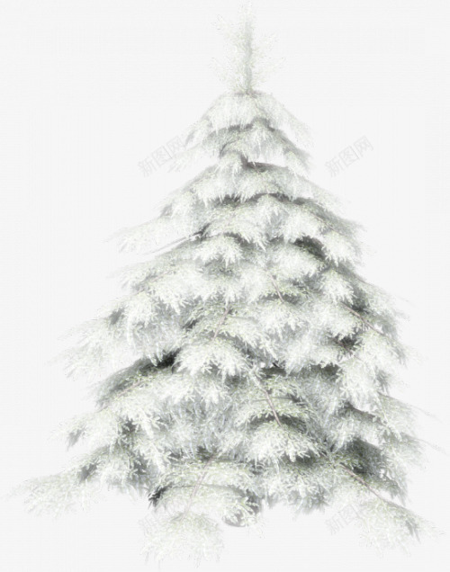 圣诞节快乐圣诞树白雪png免抠素材_新图网 https://ixintu.com png素材 圣诞树 圣诞节快乐 白雪