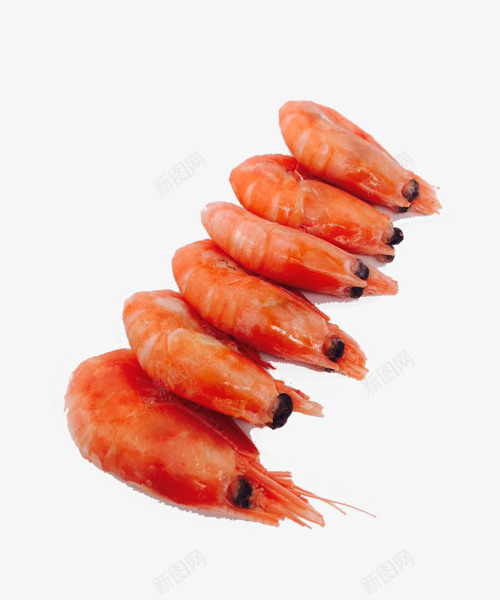 北极甜虾png免抠素材_新图网 https://ixintu.com 传统美食 生虾 生鲜 美食 虾 野生甜虾 餐饮美食