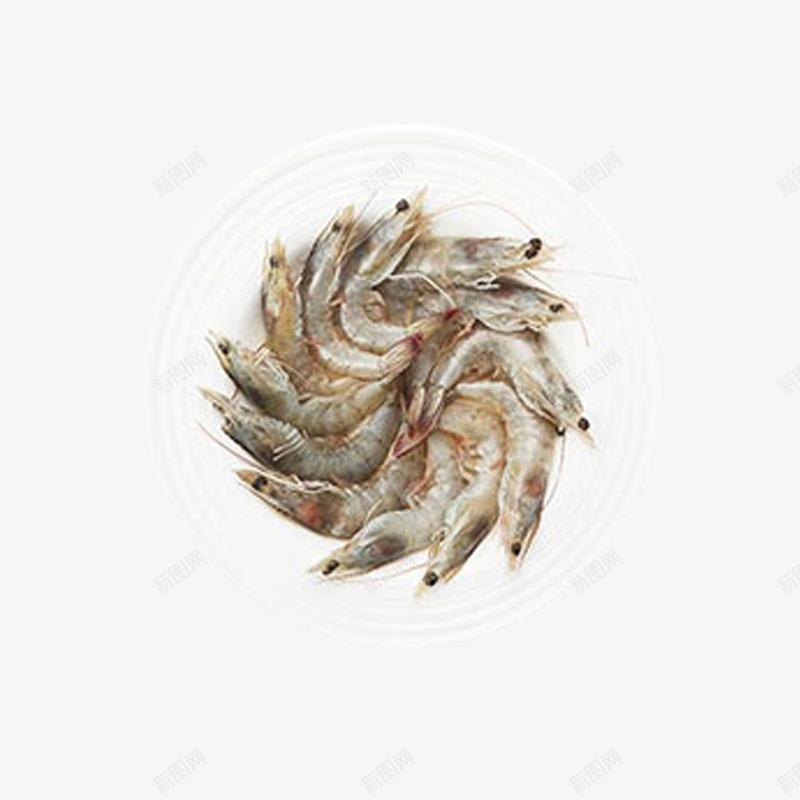 产品实物新鲜大虾冰虾png免抠素材_新图网 https://ixintu.com 冰冻 冰虾 冰鲜 大虾 新鲜食物 明虾 海产 海鲜 生虾 虾 食物 食物原料 餐饮美食