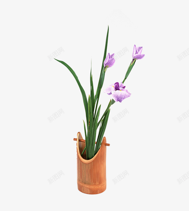 精美花瓶png免抠素材_新图网 https://ixintu.com 平面设计 瓶子 精美花瓶 花 花盆 装饰