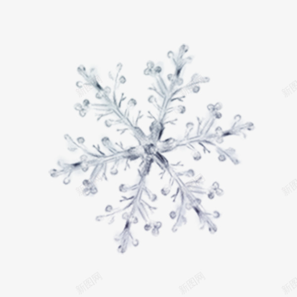 冬季冰雪花装饰图案元素psd免抠素材_新图网 https://ixintu.com 元素 冬季 冰 装饰图案 雪花
