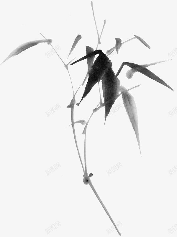 竹叶手绘竹子墨竹png免抠素材_新图网 https://ixintu.com 中国风 卡通竹子图片 墨竹 墨竹图案 手绘竹叶 手绘竹子 手绘竹子素材 水墨画 竹叶素描 简笔山水画