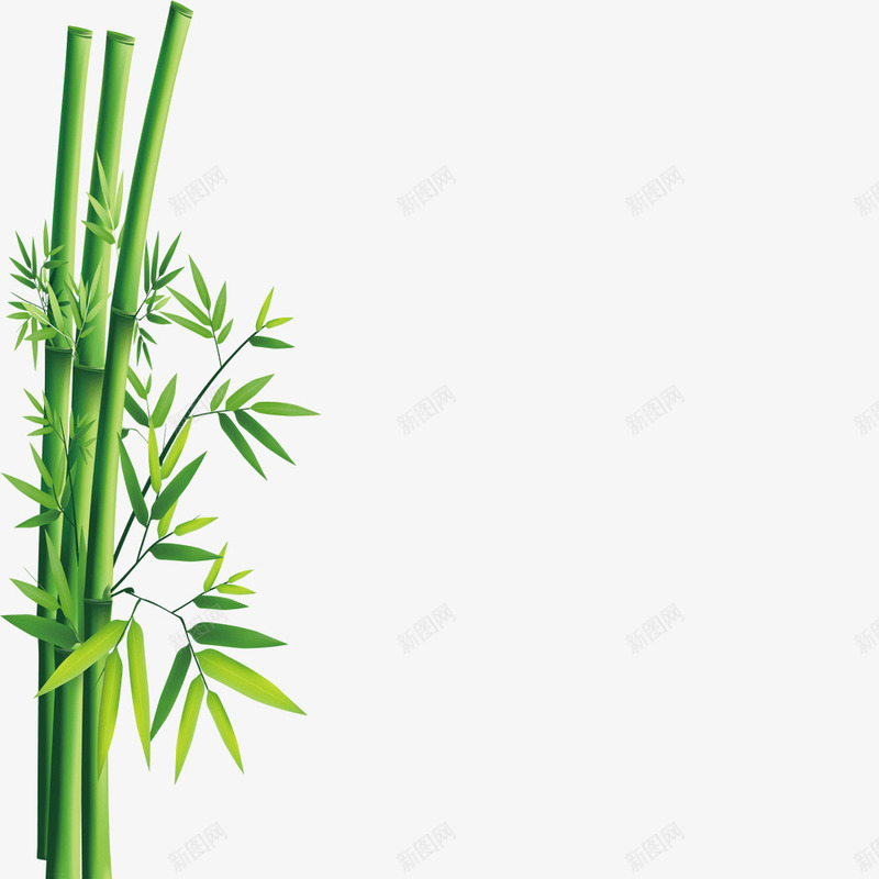竹子png免抠素材_新图网 https://ixintu.com 叶子 端午节 竹子 绿色 翠竹