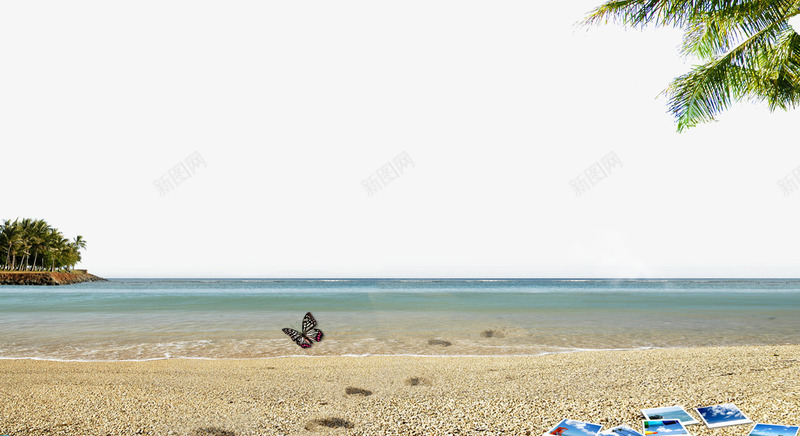 沙滩风景背景psd免抠素材_新图网 https://ixintu.com 椰树 沙滩 海水 海浪 蝴蝶