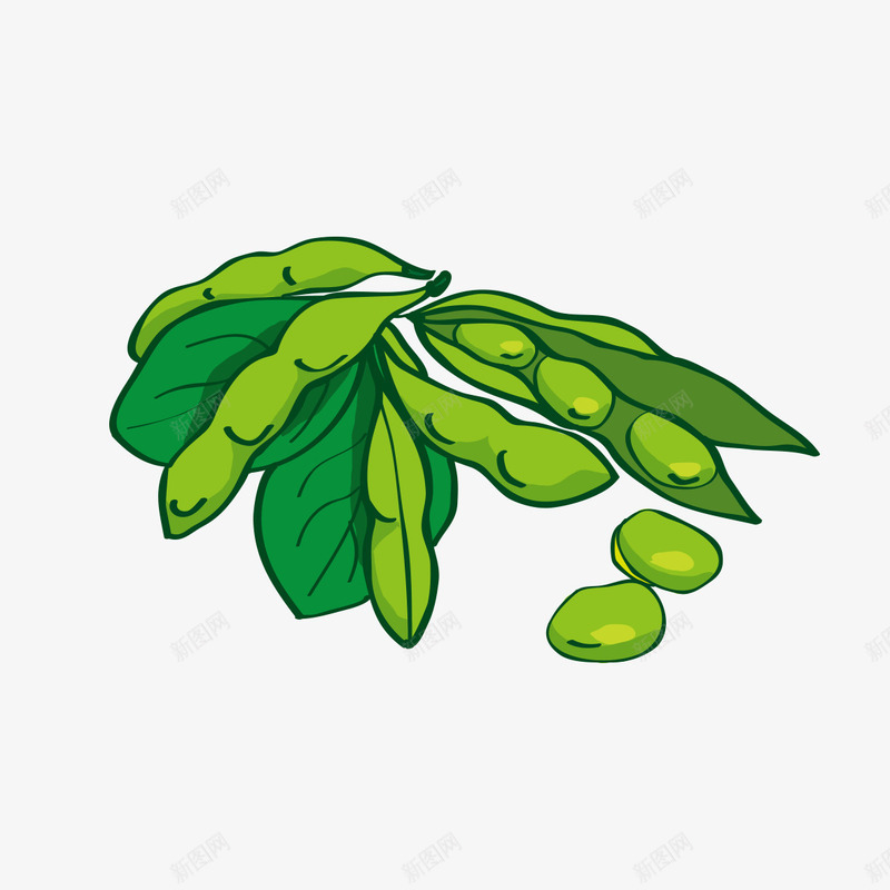 手绘毛豆png免抠素材_新图网 https://ixintu.com AI 手绘青萝卜和毛豆免费下载 插画 矢量素材 餐饮 黄色