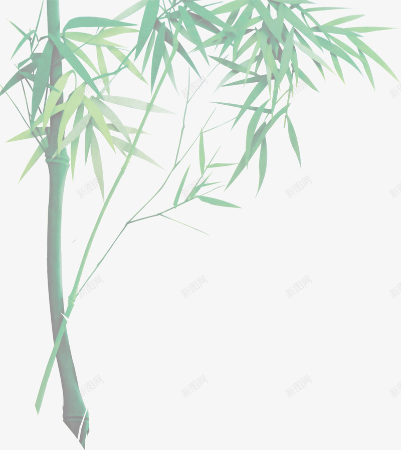 绿色竹子端午节竹叶png免抠素材_新图网 https://ixintu.com 端午节 竹叶 竹子 绿色